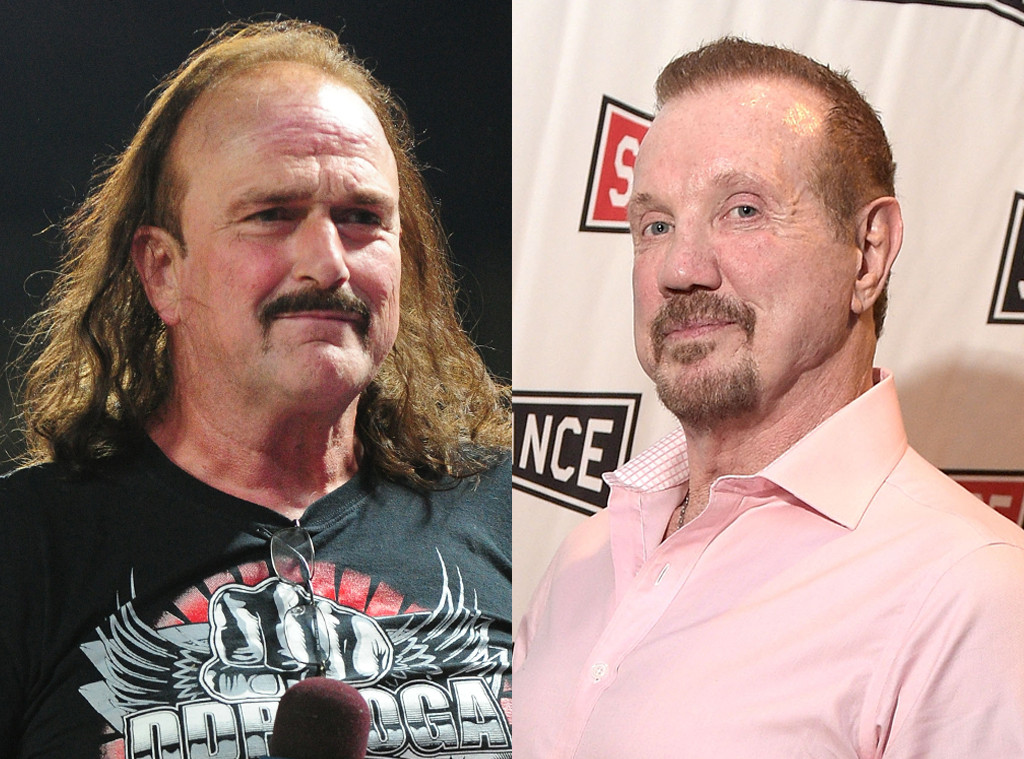 Pro Wrestling - Jake "The Snake" Roberts, Diamond Dallas Page Pro Wrestling - Jake "The Snake" Roberts, Diamond Dallas Page